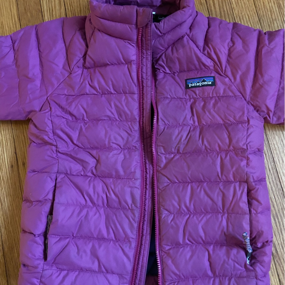 Patagonia Kids Vibrant Purple Puffer Jacket